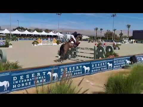 Omaro van de Meerse - CSI3*** Thermal - 19 02 2025 Omaro van de Meerse - CSI3*** Thermal - 19 02 2025