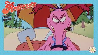 😲 Cyril Sneer Gives  Some Surprising Advice! 💛 | The Raccoons | Retro Cartoons