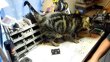 Audio Selector Switch. Overview before install.