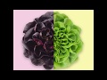 AquaGreen facebook feed animation