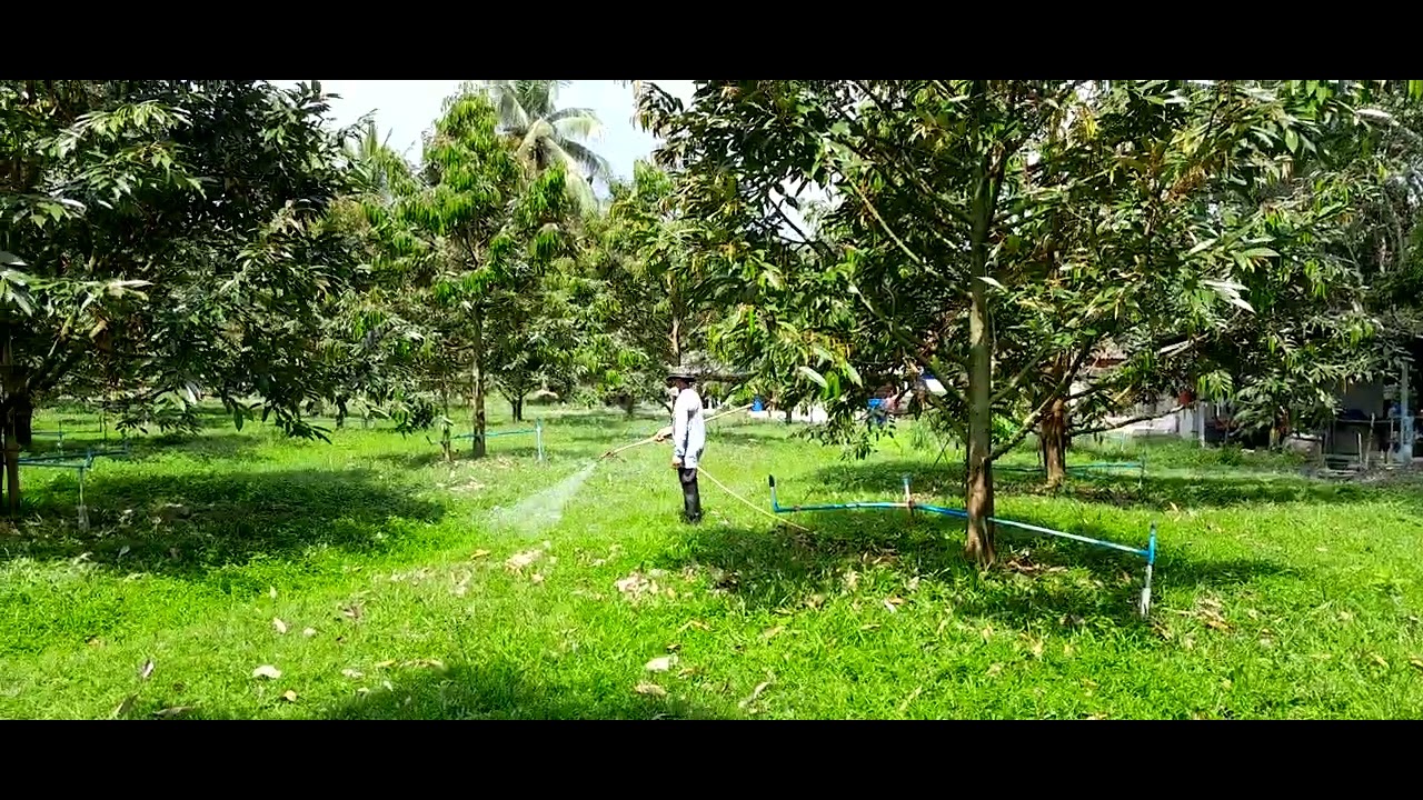 คนทำสวนเรียน