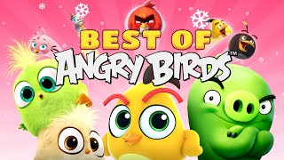 Best Of Angry Birds | Chapter 3