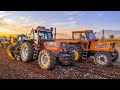 RIMOZIONE PIETRE | Fiatagri 180-90 + Fiat 1180 + Same Explorer + Landini + Deutz