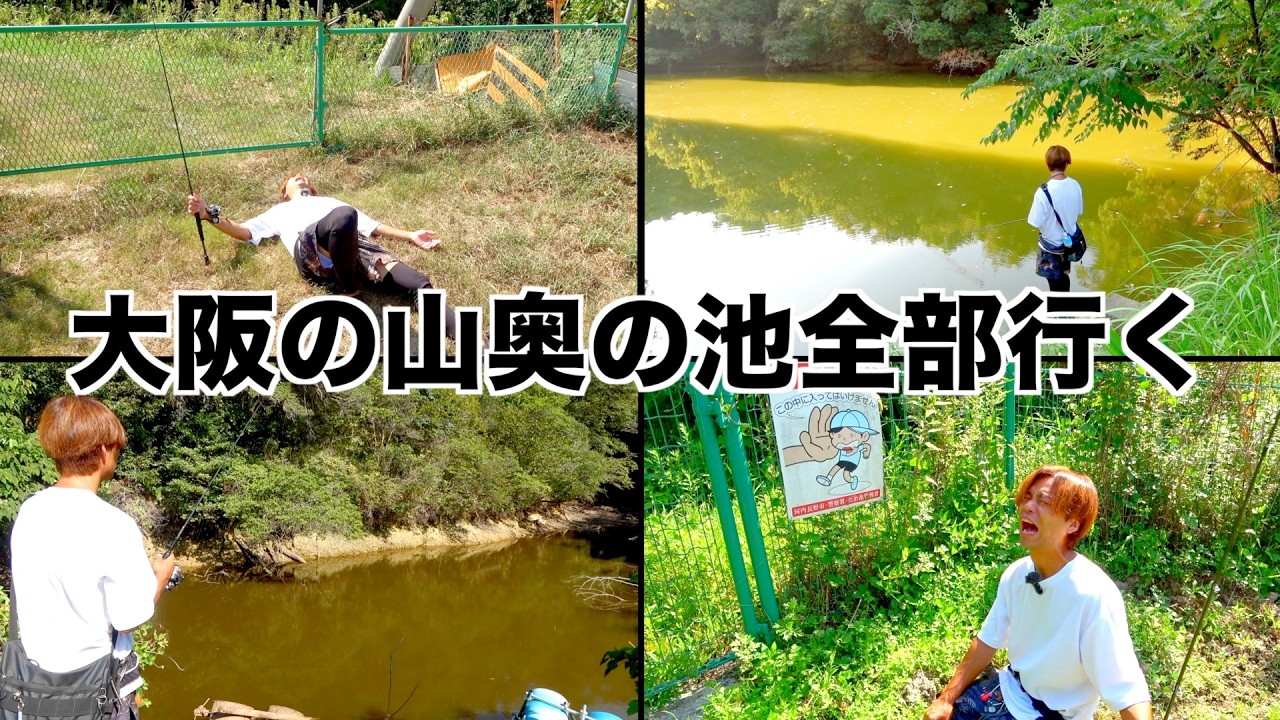 【徹底調査】誰も行かなさそうな森の中の池を巡ったら流石に釣れるやろ