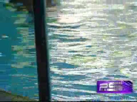 კლუბი 71 / Club 71