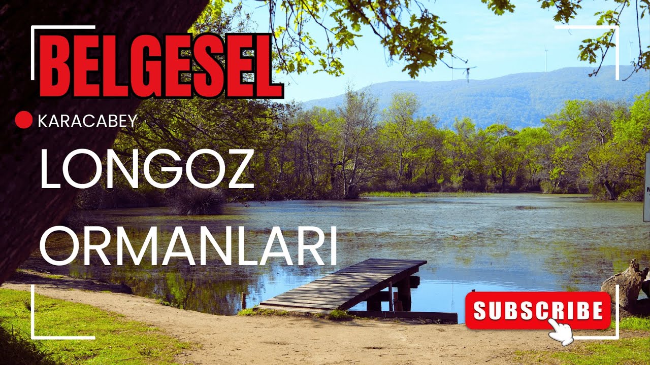 Longoz Ormanları BELGESELİ - Karacabey / BURSA