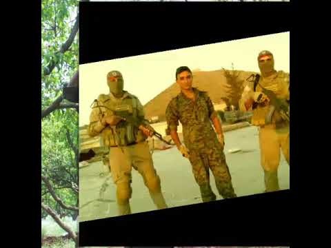 الله حيو الله عفرين و اكراد