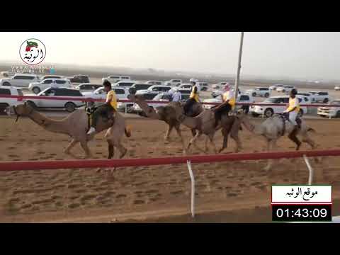 الشوط 7 شاهين ل بطحان محمد بن سالم الربيعي المنصوري 3 11 16 السباق التراثي 2021 8 14 الوثبة