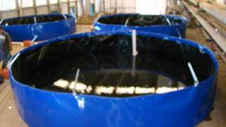 TANQUES DE GEOMEMBRANA CON HISTORIA Y CALIDAD TANGEOMEX
