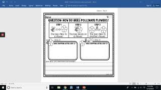 LES- Kindergarten Science Week 9 Remote Learning Packet Days 1-5