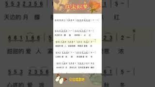 红尘似梦S，女声随简谱领唱歌词，抖音热歌