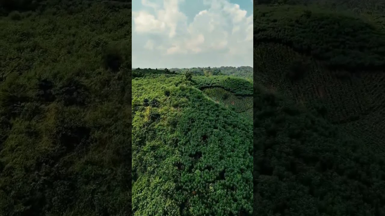 আপনি পূরো ভিডিওটা দেখবেনই।সত্যি অপূর্ব Bangladesh from Above  Sherpur 