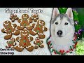 Gingerbread Cookies For Dogs | DIY Dog Treats 128 🎄 Christmas Dog Treats
