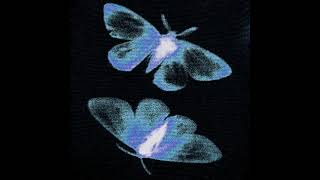 Twin Moths - Twin Moths (2026)
