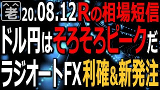 【相場短信】米市場は調整反落。金と銀も下落。為替の円安(ドル高)傾向は継続で日経平均は下げ渋り。米追加経済対策の行方が不透明な中、相場はどうなる？ラジオヤジの相場解説。ラジオートFX利確＆新発注も。