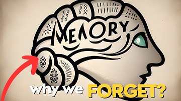 The Science of Memory How We Remember and Forget