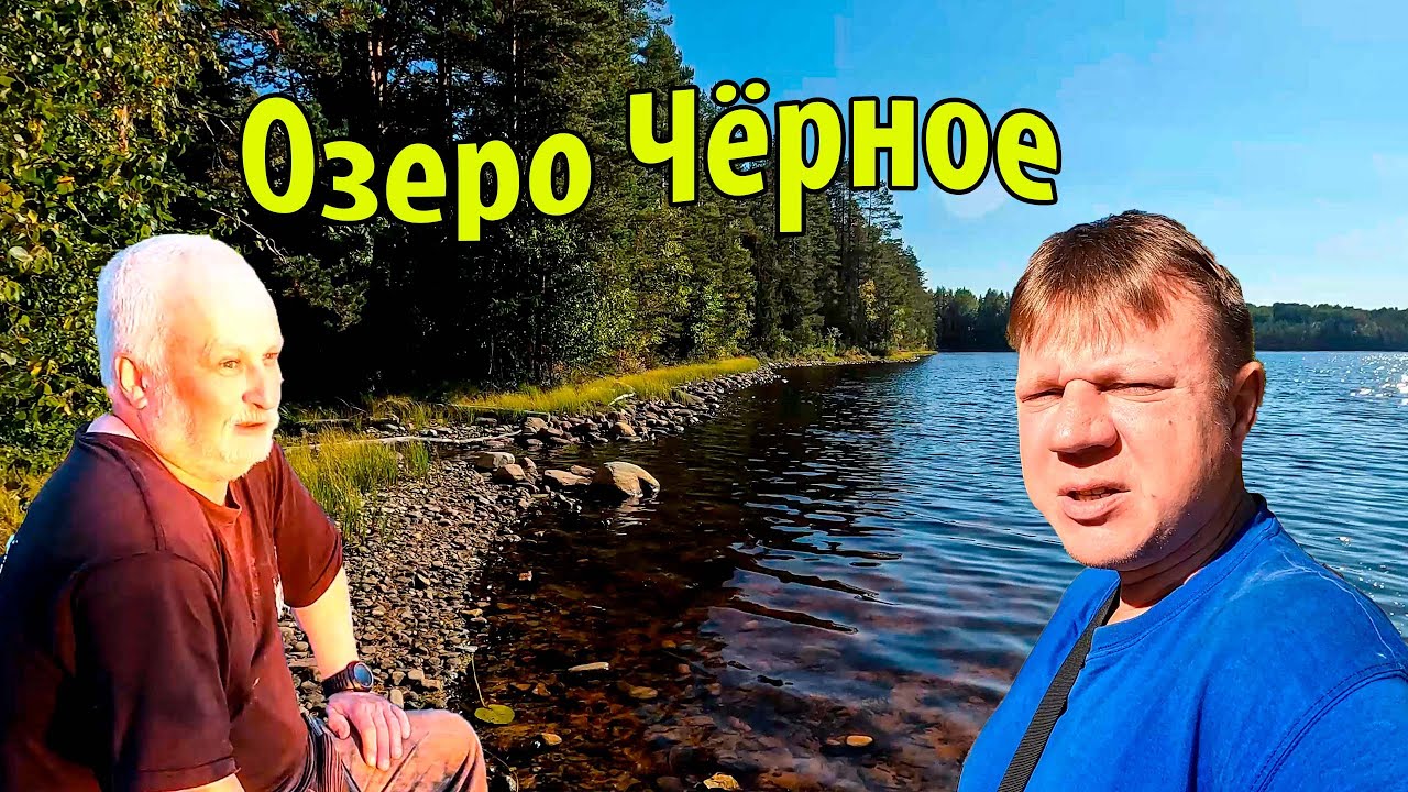 Озеро Чёрное | Рыбалка | Сбор черники, брусники и клюквы