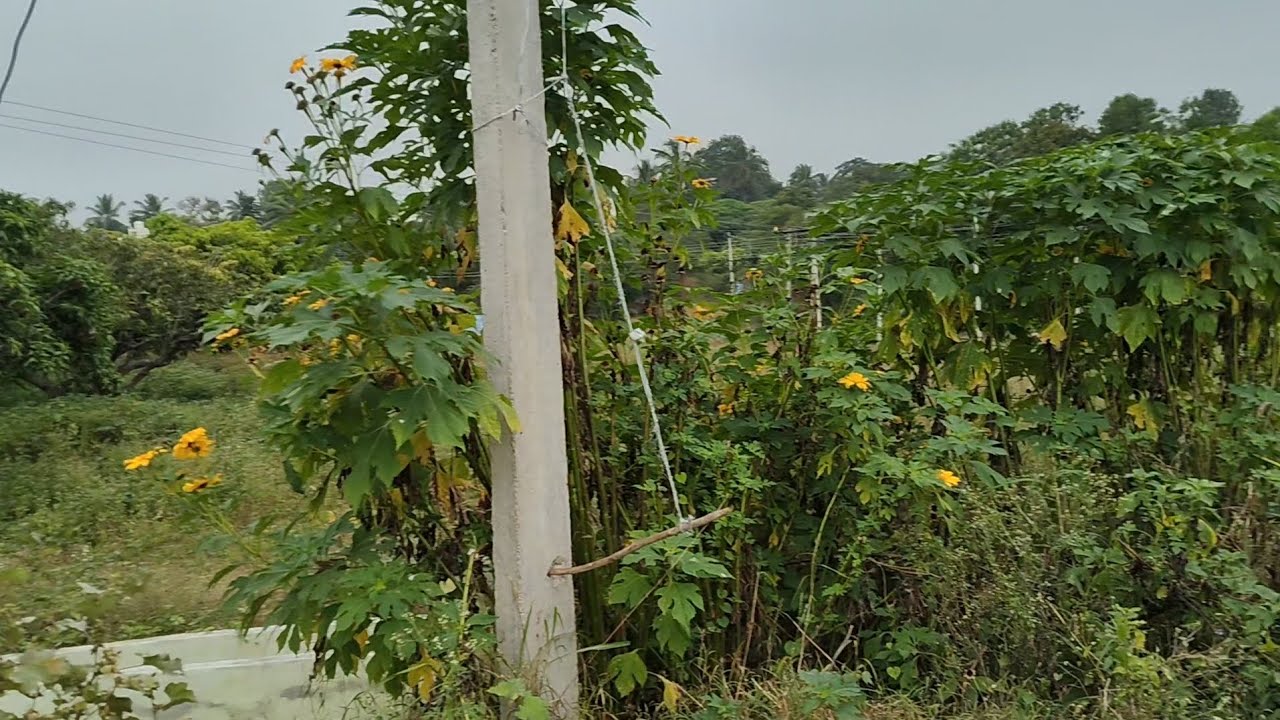 10 kunte Land for sale 9740161227