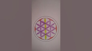 Easy Mandala Compass Drawing #shorts #short #mandala #mandaladrawing #mandalaartforbeginners #draw