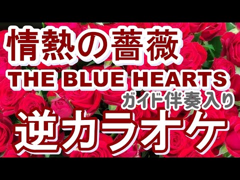 「情熱の薔薇」KANTANコード対応　逆カラオケ　ガイド伴奏入り