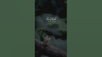 #اذكروا_الله #صلوا_على_النبي #سورة_الكهف #جمعة #يارب #دعاء #علم #احاديث #اتقوا_الله  #اكسبلور #لايك