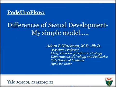 4.22.2020 PedsUroFLO Lecture - Introduction to Disorders of Sexual Differentiation (DSD)
