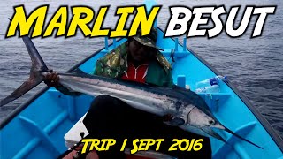 MARLIN BESUT | 1 Sept 2016