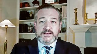 Sen. Cruz to Dorsey: 'Who the Hell Elected You'