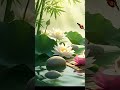 Calm the Mind, Deep Healing Music for Relaxation & Sleep | Peaceful Soothing Sounds
