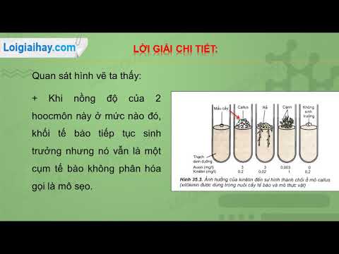 Video: 4 cách để tăng giá trị