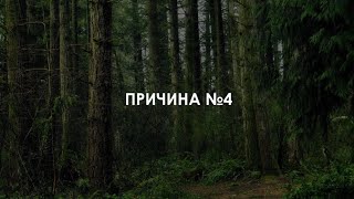 Причина №4. 5 причин посетить выставку &quot;Русский лес. Шишкин и его современники&quot; в Радищевском музее