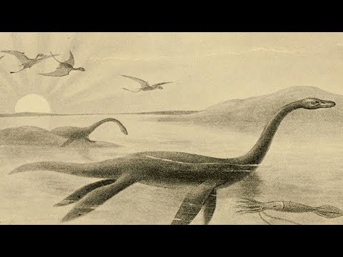 Video: Tajanstveno čudovište Iz Loch Nessa Počelo Je Terorizirati škotsko Selo - Alternativni Pogled