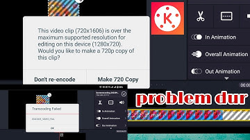 kinemaster screen recording video editing problem
