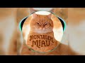 Montagem Miau [SLOWED + EXTENDED]