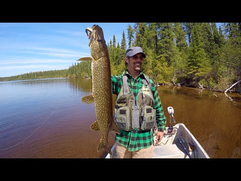 Colorado Wickedfisha S2e4 Ontario Trophy Adventure Fishing At
