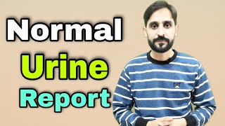 How to Understand Normal Urine Examination Report