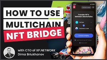 XP Shorts - How to bridge an NFT: a beginner guide with XP.NETWORK CTO