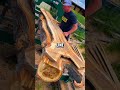 #Reddit #Story #Shorts #FYP #Satisfied #askreddit