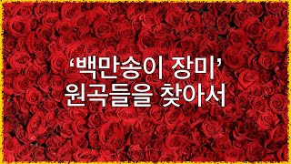 백만송이 장미 원곡들을 찾아서. 라트비아 노래 '마리냐가 준 소녀의 인생', 러시아 노래 백만송이 장미