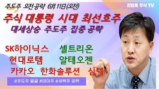 주식 대통령 시대 대세상승 최선호주 공략