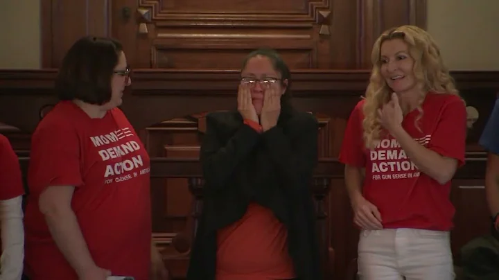 IL House passes amended assault weapons bill