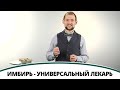 Имбирь - универсальный лекарь | Полезная минутка