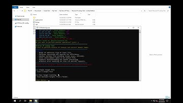 Reverse IP Lookup Tool - Limited Edition