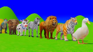 Long Slide Game with Tigers Lion Cow Hippopotamus Gorilla 3d Animal Game Funny 3d Animals screenshot 3