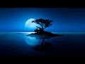 "Clair de lune" Debussy - Piano & Violin 60 Minutes Version (With Relaxing Nature Sounds)