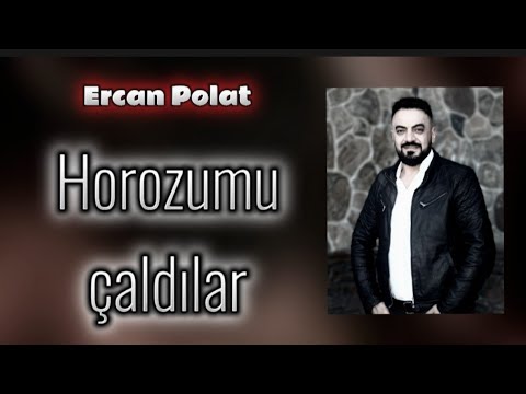 Ercan Polat dün gece Horozumu çaldılar 2023