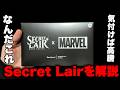 【MTGの沼】『Secret Lair』とは何なのかを解説開封【見たら買え】