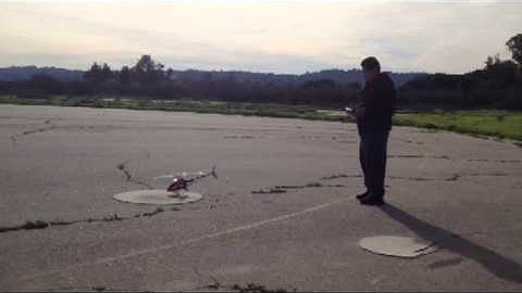 Trex 450 Sport (First Hover)