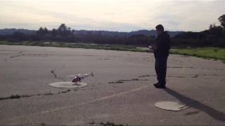 Trex 450 Sport (First Hover)