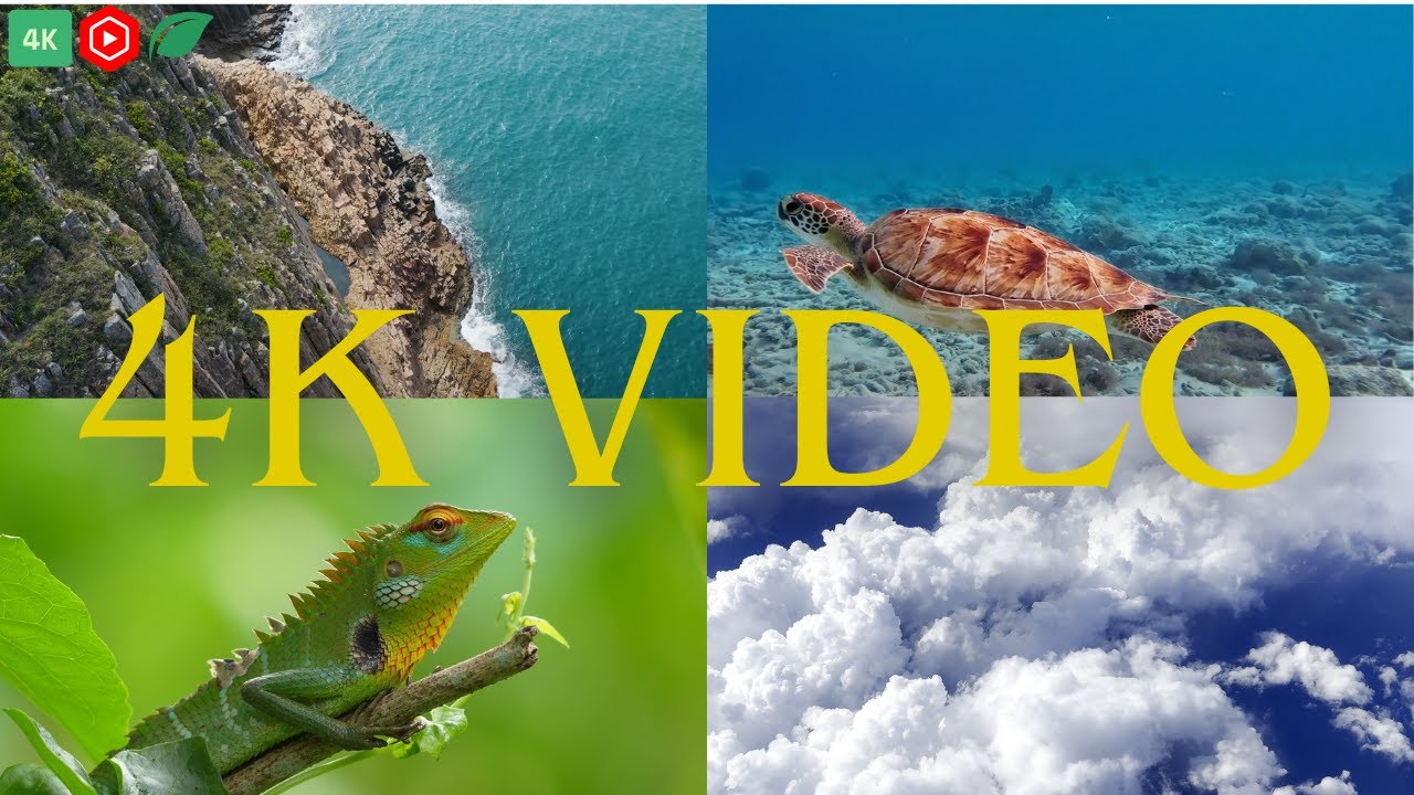 Landscape Video Example 4K UHD VIDEO | Nature | Beautiful Scenery | Watch Now | Knowledge 24*7 ...